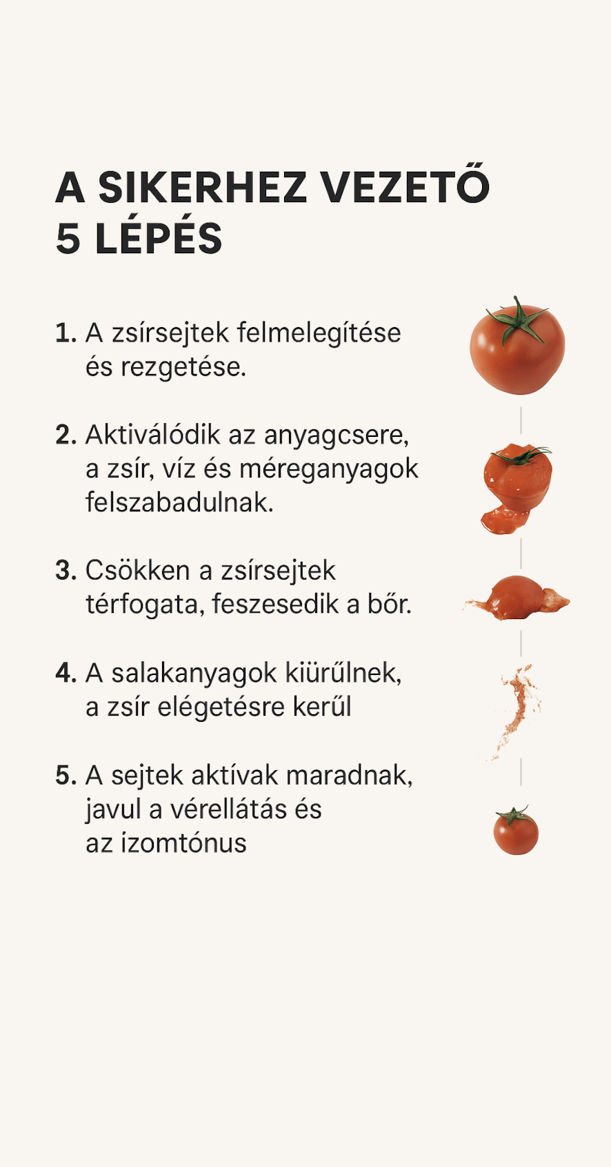 Tudományos zsírbontás fekve